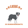 Kaffee Hund Border Collie