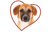 Broholm Heart Dog Love