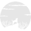 Treeing Walker Coonhound