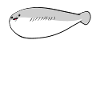 Sacabambaspis Fish Meme