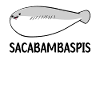 Sacabambaspis Fish Meme