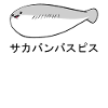 Sacabambaspi Fish Meme Japanese