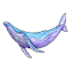 Baleine à bosse aquarelle