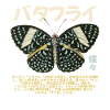 Papillon Esthétique Grunge Japonais