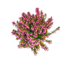 Basse-Saxe Allemagne Deutschland Niedersachsen