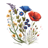 Prairie Flowers