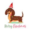Teckel, Teckel, Noël, Noël