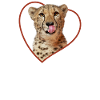 Cheetah Love Heart