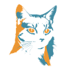 Colour explosion: Cat's head in orange and blue