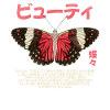 Butterfly Japanese Grunge Aesthetic
