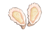 Oysters Oyster Lovers
