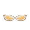 Oysters Oyster Lovers
