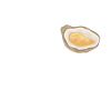 Oysters Oyster Lovers