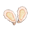 Oysters Oyster Lovers