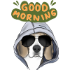 Good Morning Beagle