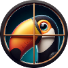 Toucan Cartoon Comic