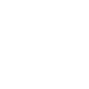 Non-player character