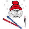 Skispringer, Wintersport