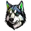 Husky Hund Kopf Bunt