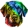 Labrador Hund Kopf Bunt