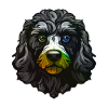 Pudel Hund Kopf Bunt