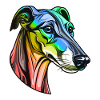 Greyhound Hund Kopf Bunt