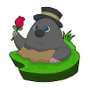 Mole Rose