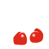 Boxing Rhinoceros