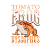 Red Tomato Frog