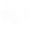 Rodeo