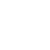 Lotti
