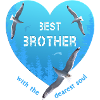 Best Brother