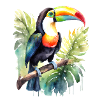 Aquarelle de Toucan