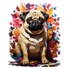 pug