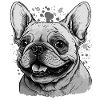 Bouledogue français coquin