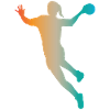Volleyball player