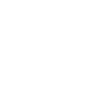 Memento Mori Skull