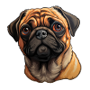 Pug Portrait