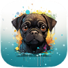 Cute little pug puppy