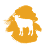 Beef Beef Farmer