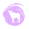 Beef Farming Moo