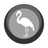 Flamingos Exotic Flamenco