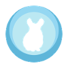 Rodent Chinchilla Mouse