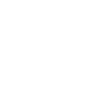 DISCO Dancing Disco Ball