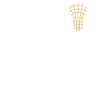 USA Lacrosse Flag