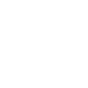 Lacrosse Stick with it