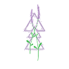 Lavender Garden Plant Fragrance