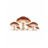 Champignon, Mycologie, Mycologue, Collectionneur