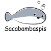 Fisch Meme