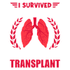 My husband's lung transplant